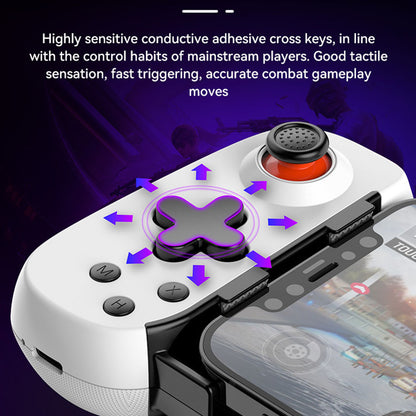 Techsuit D6 DP Controller, White