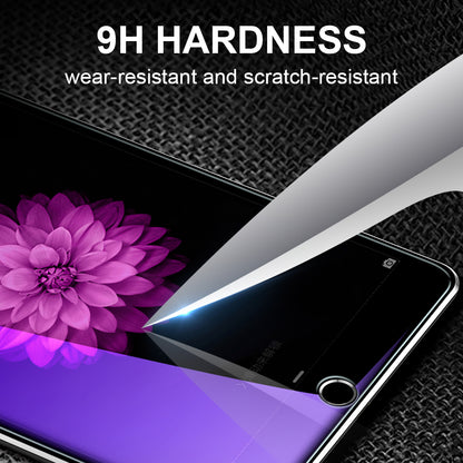 Lito Classic Anti Blue Light Screen Protector for Apple iPad Pro 13 (2024), Tempered Glass, Full Glue, 2.5D